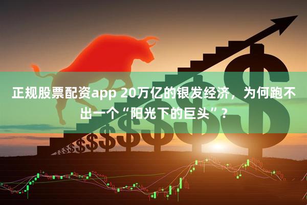 正规股票配资app 20万亿的银发经济，为何跑不出一个“阳光下的巨头”？