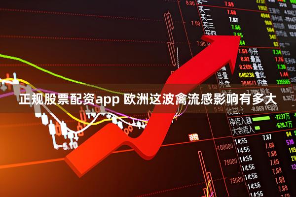 正规股票配资app 欧洲这波禽流感影响有多大