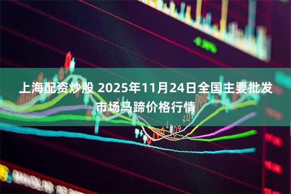 上海配资炒股 2025年11月24日全国主要批发市场马蹄价格行情